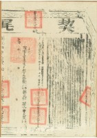 嘉慶五年曹士卷立杜賣盡根契（含契尾）藏品圖，第4張