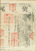 嘉慶五年曹士卷立杜賣盡根契（含契尾）藏品圖，第6張
