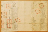 光緒元年林從舍立杜賣盡根契字藏品圖，第6張