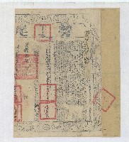 光緒六年馬芝堡鹿港大街頂林泗卿立繳典盡田契字含契尾


光緒六年十月馬芝堡鹿港大街頂林泗卿曾以二百四十七大員將水田典與阿公厝庄楊炎山今又乏銀費用將田出繳典盡原典主楊炎山等人所立繳典盡根契字藏品圖，第3張