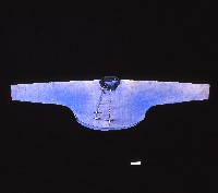 卑南族藍色長袖上衣藏品圖，第1張