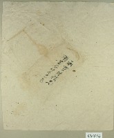 承買洪祿兄鬮書及什字契卷卷包紙藏品圖，第1張