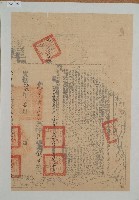 咸豐十一年林益盛等三人立杜賣盡根水田字（含契尾）藏品圖，第2張