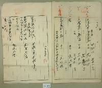 大正五年范洪灶等業主權保存登記申請書藏品圖，第2張