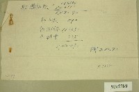 記事便箋藏品圖，第1張