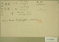 記事便箋藏品圖，第1張