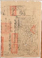 光緒七年林吉成母子等二人立杜賣盡根田契字（契尾）藏品圖，第2張