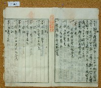 大正十二年鄧阿福鬮分證書藏品圖，第3張