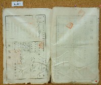 大正十二年鄧阿福鬮分證書藏品圖，第19張