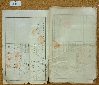 大正十二年鄧阿福鬮分證書藏品圖，第20張