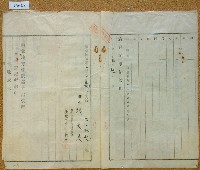 明治四十二年張文來業主權保存登記申請書藏品圖，第3張