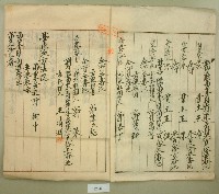 大正十九年郭呆等業主權保存登記申請書藏品圖，第2張
