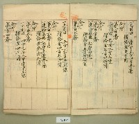 大正十九年郭呆等業主權保存登記申請書藏品圖，第3張