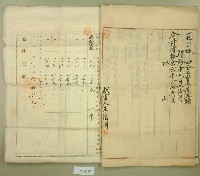 大正十九年郭呆等業主權保存登記申請書藏品圖，第4張