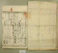 大正十九年郭呆等業主權保存登記申請書藏品圖，第6張