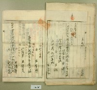大正十九年郭呆等業主權保存登記申請書藏品圖，第7張