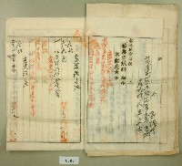 大正十九年郭呆等業主權保存登記申請書藏品圖，第8張