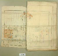 大正十九年郭呆等業主權保存登記申請書藏品圖，第13張