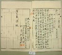 大正八年王諒持分杜賣盡根契字藏品圖，第2張