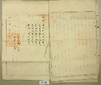 大正十四年王心匏甲數變更登記申請書藏品圖，第9張