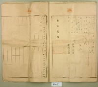 大正元年王漳業主權保存登記申請書副本藏品圖，第13張