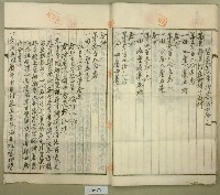 昭和十四年王金定持分土地賣渡証書藏品圖，第13張
