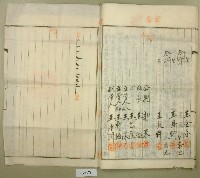 昭和十四年王金定持分土地賣渡証書藏品圖，第15張