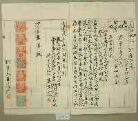 大正十一年王文忠持分杜賣盡根字藏品圖，第2張