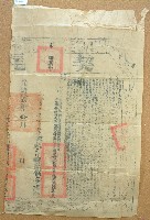 道光二十六年陳長義立杜賣盡根田契含契尾藏品圖，第3張