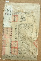 光緒十六年林祥記立杜賣斷根水田契字含契尾藏品圖，第3張