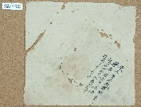 癸未年卷包單藏品圖，第1張