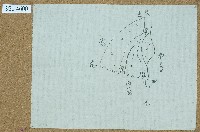 地圖藏品圖，第1張