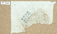 双藔社番打那日烏蚋找絕字卷包單藏品圖，第1張