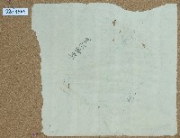 買□□契卷包單藏品圖，第1張