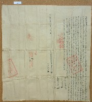 道光二十一年曾阿祿等人立杜賣田園屋宇地基盡根契約字含契尾藏品圖，第3張