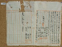 明治四十三年鄭樹及鄭天生仝立鬮分合約字藏品圖，第2張