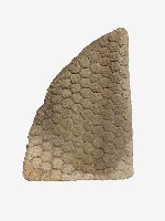 三角形魚鱗紋石盤藏品圖，第2張