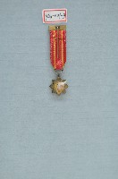 國光襟綬勳章藏品圖，第2張