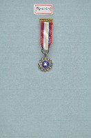 青天白日襟綬勳章藏品圖，第1張