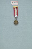 青天白日襟綬勳章藏品圖，第2張