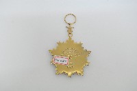 六等寶鼎勳章藏品圖，第2張