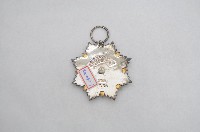 九等雲麾襟綬勳章藏品圖，第2張