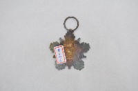 忠勇勳章藏品圖，第2張