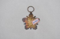 忠勇勳章藏品圖，第2張