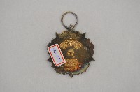 陸海空甲種一等獎章藏品圖，第2張