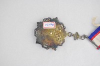 五等采玉勳章藏品圖，第4張
