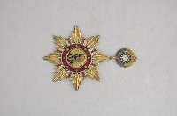 抗戰勝利勳章藏品圖，第1張