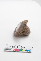陶製圓形蓋鈕（殘）藏品圖，第2張