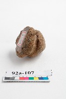 陶製尖錐形蓋鈕（殘）藏品圖，第2張