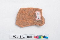 紅褐色夾砂素面陶器腹部殘片藏品圖，第2張